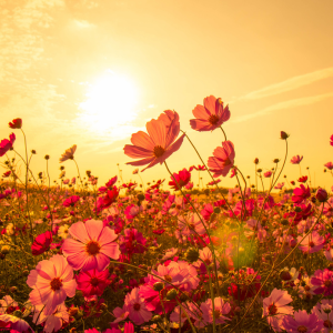 Sunshine, Storms, and Growth: The Garden of Our Relationship