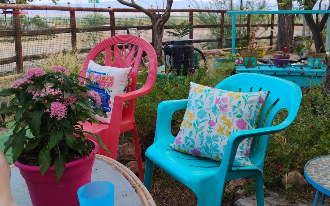 An Epic Battle in the Garden